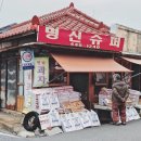 오성세탁소 이미지
