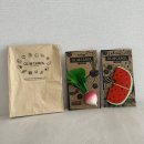 순무무 | 치발기 에르메스 올리앤캐롤 순무 수박 내돈내산 후기 특가 할인 싸게사는 방법