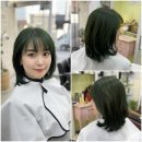 헤어두비취 이미지