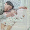 법률사무소로플 이미지