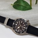 양지-3145 이미지