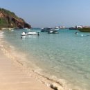 섬바위농장 이미지