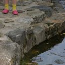 비비안네 사랑채 이미지