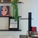 중앙동160 이미지