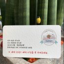 몽글몽글 펫 네이버블로그