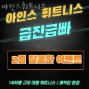 논현로 9 | 강남구 논현로 헬스장 아인스휘트니스 업체 정보 후기