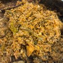 (주)온스메디칼 | 25년이 안 온 것 같은데 다시 전송해주세요