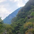 옥계동대산펜션 네이버블로그