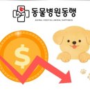 도곡동행동물병원 이미지