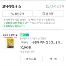 마이캣 이미지