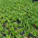 재성농장 이미지