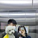 멍떼루와 이미지