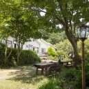 일월애관광농원 이미지