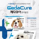 반여착한동물병원 이미지