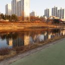 탄천 이미지