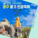 경북영주 풍기인삼축제 | 2025 경북 영주 풍기 인삼축제 기본정보 라인업 프로그램 라인업