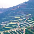 정원펜션민박 이미지