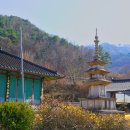 고흥사