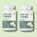 오아이컴퍼니 쇼핑하우
