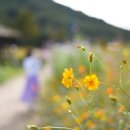 인천대공원(야외음악당 옆) 네이버블로그