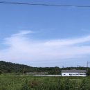 댕댕수라간 | 제주여행DAY4-5:::(제주동쪽,명진전복,제주피크닉카페행온,아부오름,제주수국길,흑돈세상수라간,여진떡집)