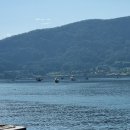 시락 소포마을 이미지