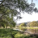 경안천습지생태공원 이미지