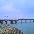 전라도호남나드리횟집 | 삽교호 전라도 호남나드리횟집, 충남 당진여행 중 내돈내산 솔직후기