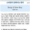 keep it low-key (조용히 하다) 이미지
