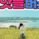 제주무지개투어 이미지