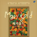 (공연) 뮤지컬 네이버블로그