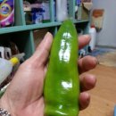 아라리농산물