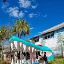 개토농장 | 플로리다 올랜도 개토 랜드 방문 후기 악어, 동물원