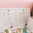 늘봄펫살롱