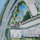 서울숲 dogs 이미지