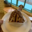 뚱뚱한크로플 이미지