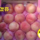 대동카정비 이미지