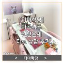 타로상담 | [타마학당] 마곡사주 신년운세 타로 상담 후기