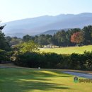 제주 행복골프 학교 | 제주도 골프 여행 공항에서 가까운 제주 오라cc 부킹 후기