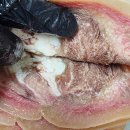 창신한우유통 주식회사 | 소머리수육 집에서 이렇게? 슬라이스 소머리고기로 맛집 퀄리티