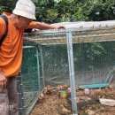 옥동양계장 이미지