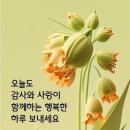 ♤현명한 자녀가 아버지 에게 보낸 메시지♧ 이미지