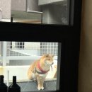 아틀리에빈대가대점 이미지