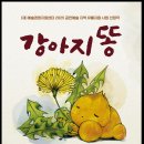 강아지 똥 이미지