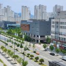 보람동_세종시청 정문2 이미지