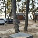 치예랑 | 고사포야영장 후기