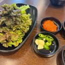 위례 점심맛집 추천 만원대에즐기는 고기쌈밥 등꺼비식당
