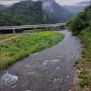 원주 출렁다리민박 이미지