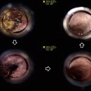 유기화동물의료센터 이미지