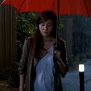 펫스타일 이미지